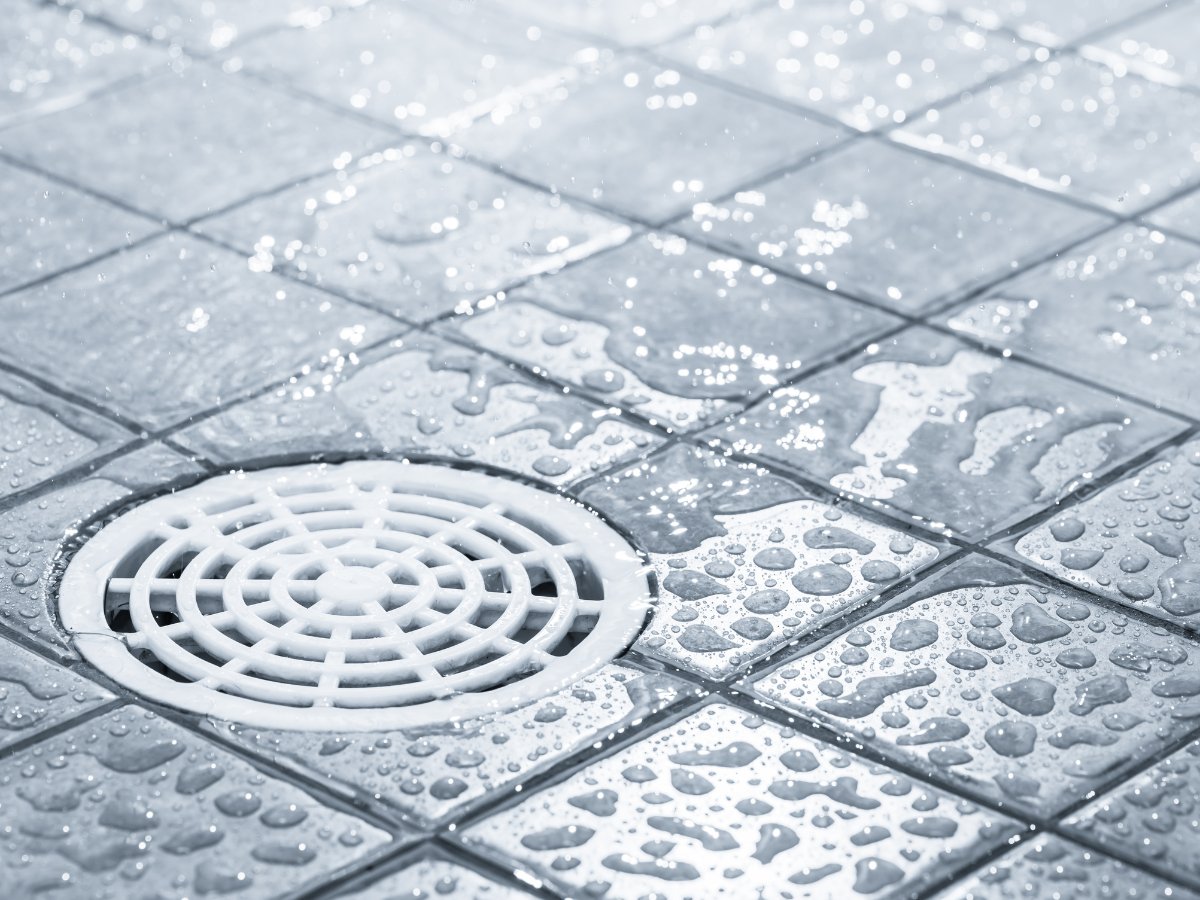 MrRooterKelowna's tweet image. Ensure your home stays safe with clean, working floor drains! 🚰🧰 Notice odors or backups? Contact our experts today. #HomeSafety #PlumbingHelp