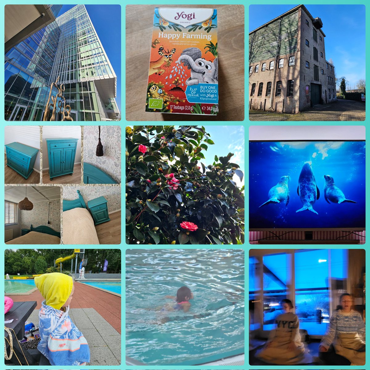 AnitaPeeters's tweet photo. @ChrRoland 🎨🌿 #KleurInDeNatuur 🌈📸 #dag27 #Blauwgroen rgb 010,150,190 #ColorInNature #day27#GreenBlue De kleurenfamilie groen is groot, gevolgd door blauw. Er zijn hele discussies is 't blauw of groen. Kijk alleen maar naar de naam in het Nederlands en die in 't Engels 💚🩵 https://t.co/bSwxM1VFML