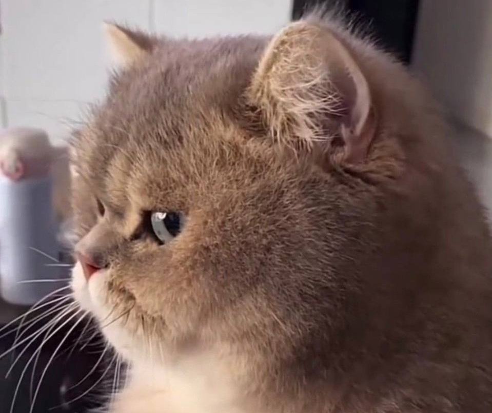 ☆چشم چرون⁷٭Jk٭ tweet media