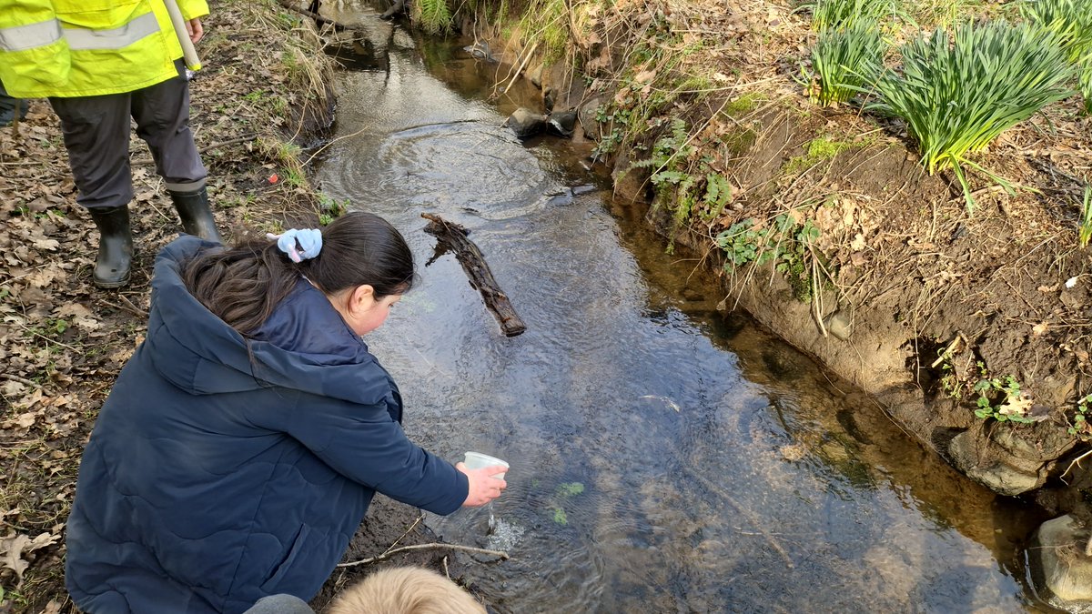 Primary 5a tweet media