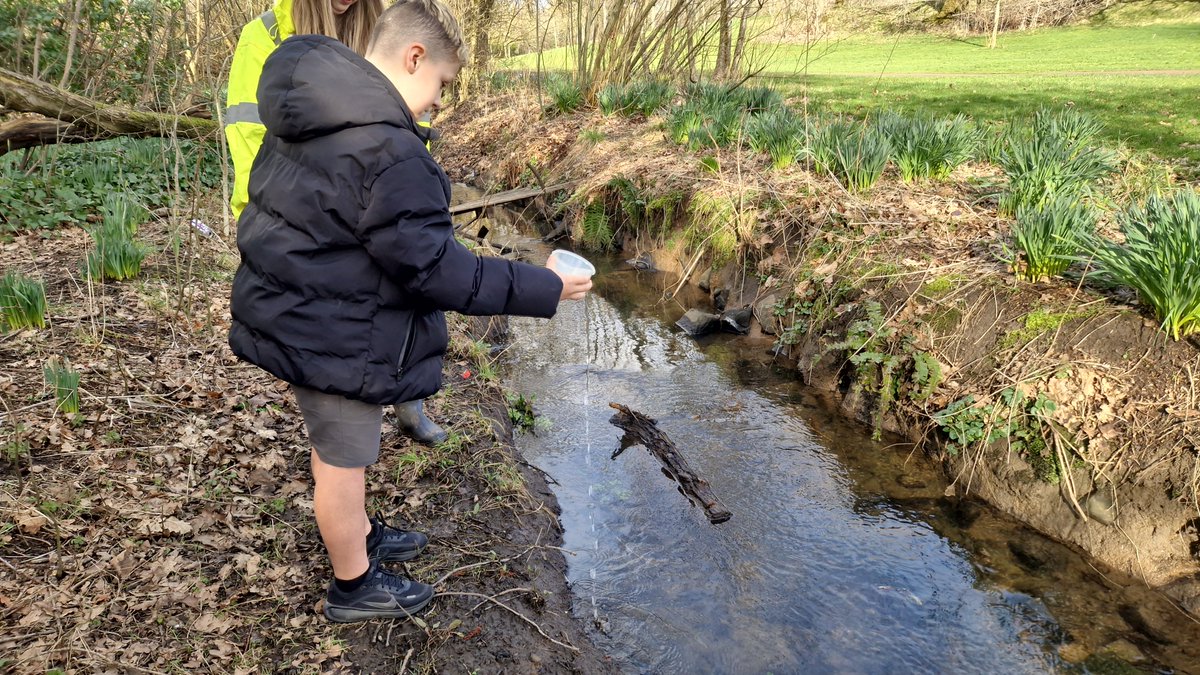 Primary 5a tweet media