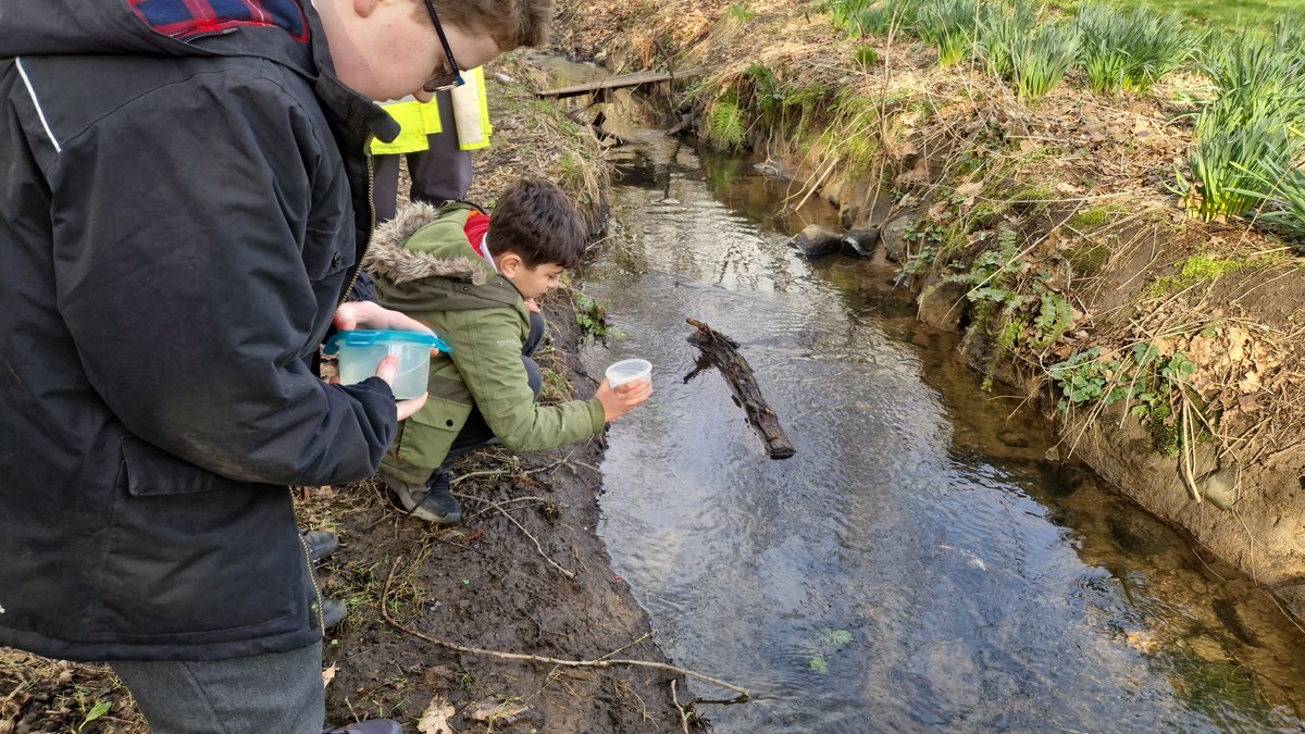 Primary 5a tweet media