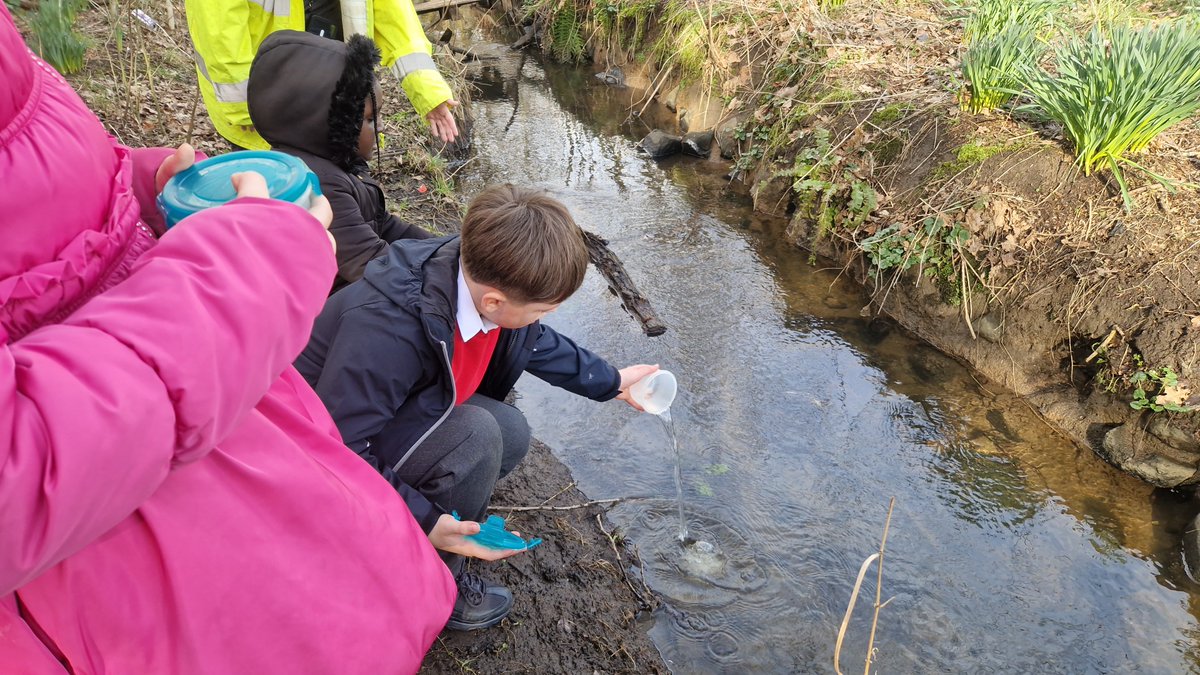 Primary 5a tweet media