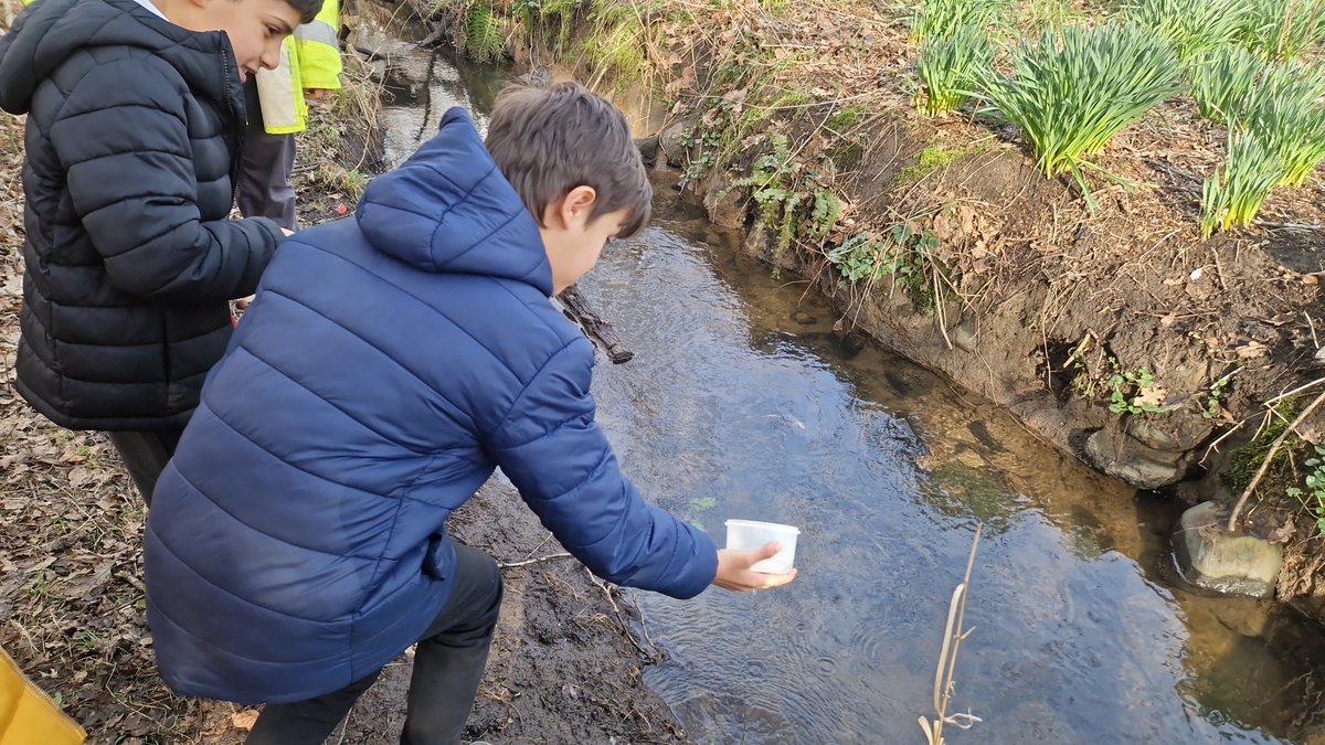 Primary 5a tweet media