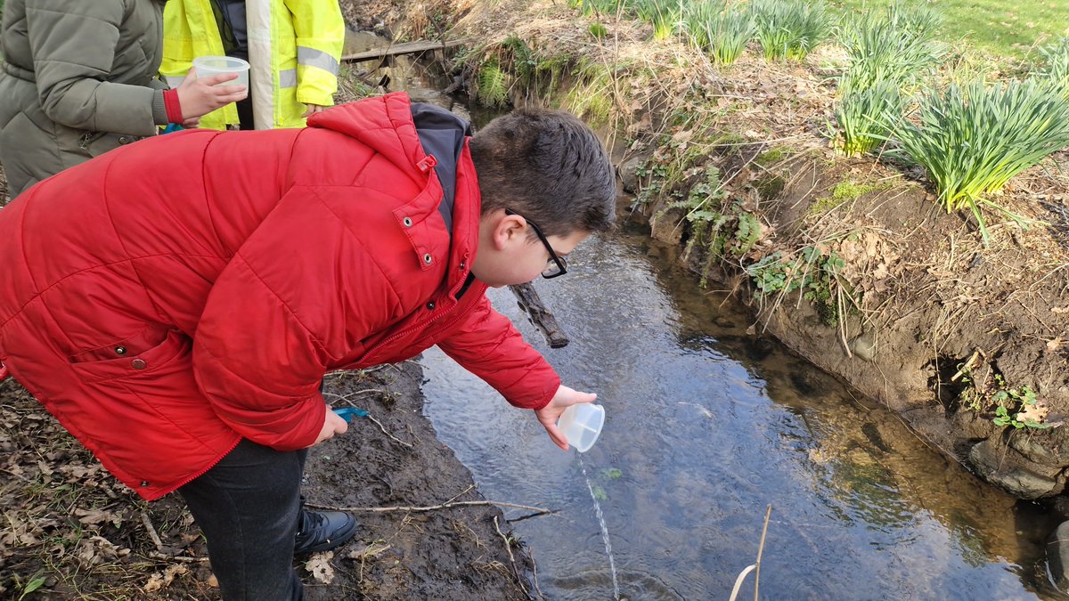 Primary 5a tweet media