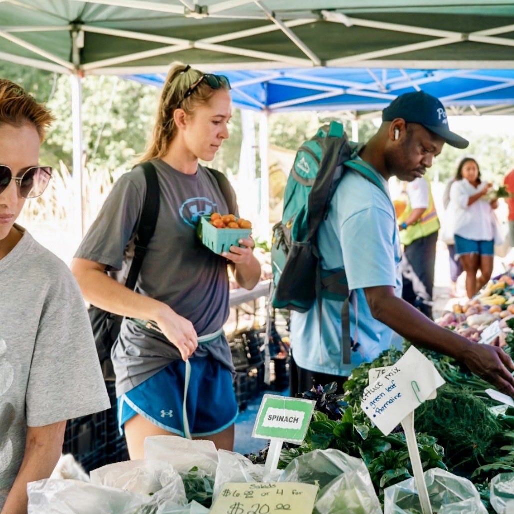 The Wharf tweet media