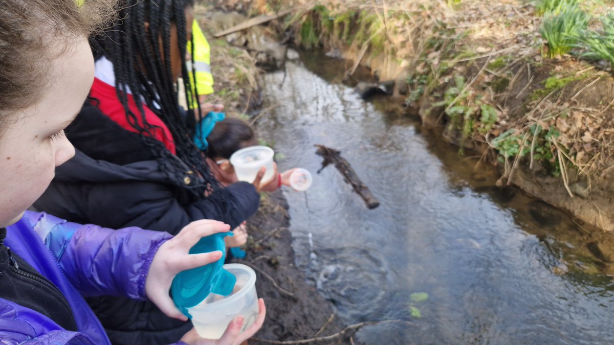 Primary 5a tweet media