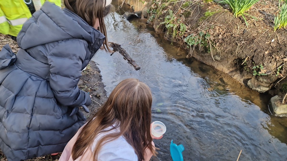 Primary 5a tweet media