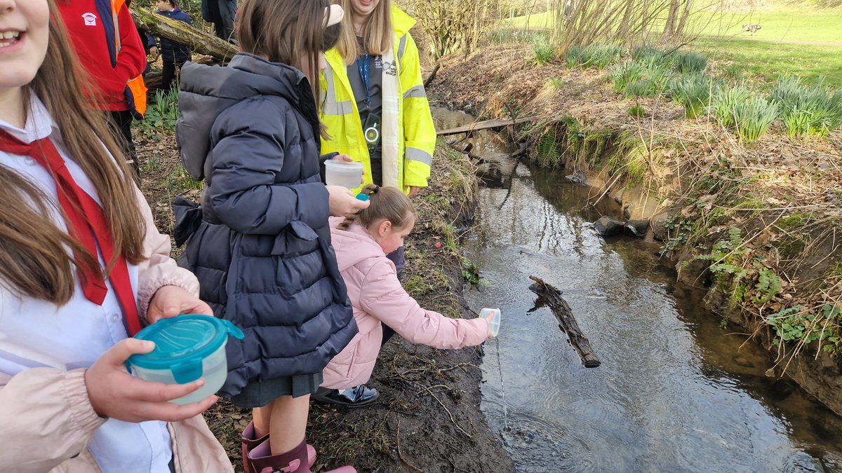 Primary 5a tweet media