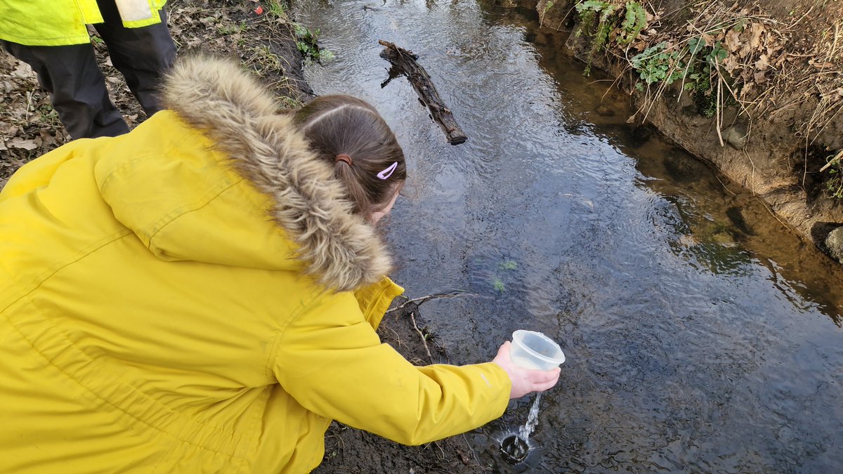 Primary 5a tweet media