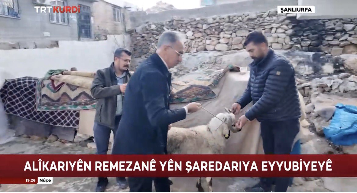 Kadir Çelikcan tweet media