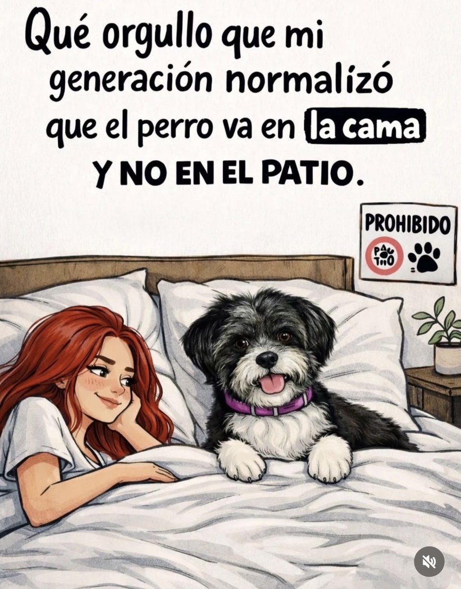 Bella tweet media
