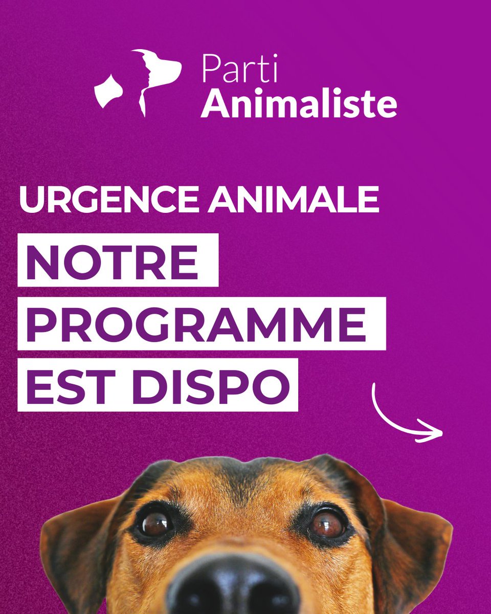 Parti animaliste tweet media