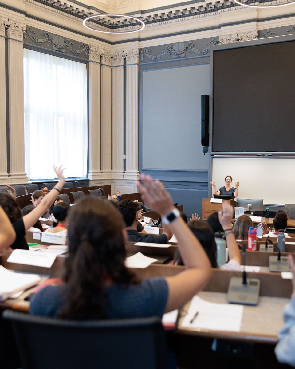 Summer Discovery tweet media