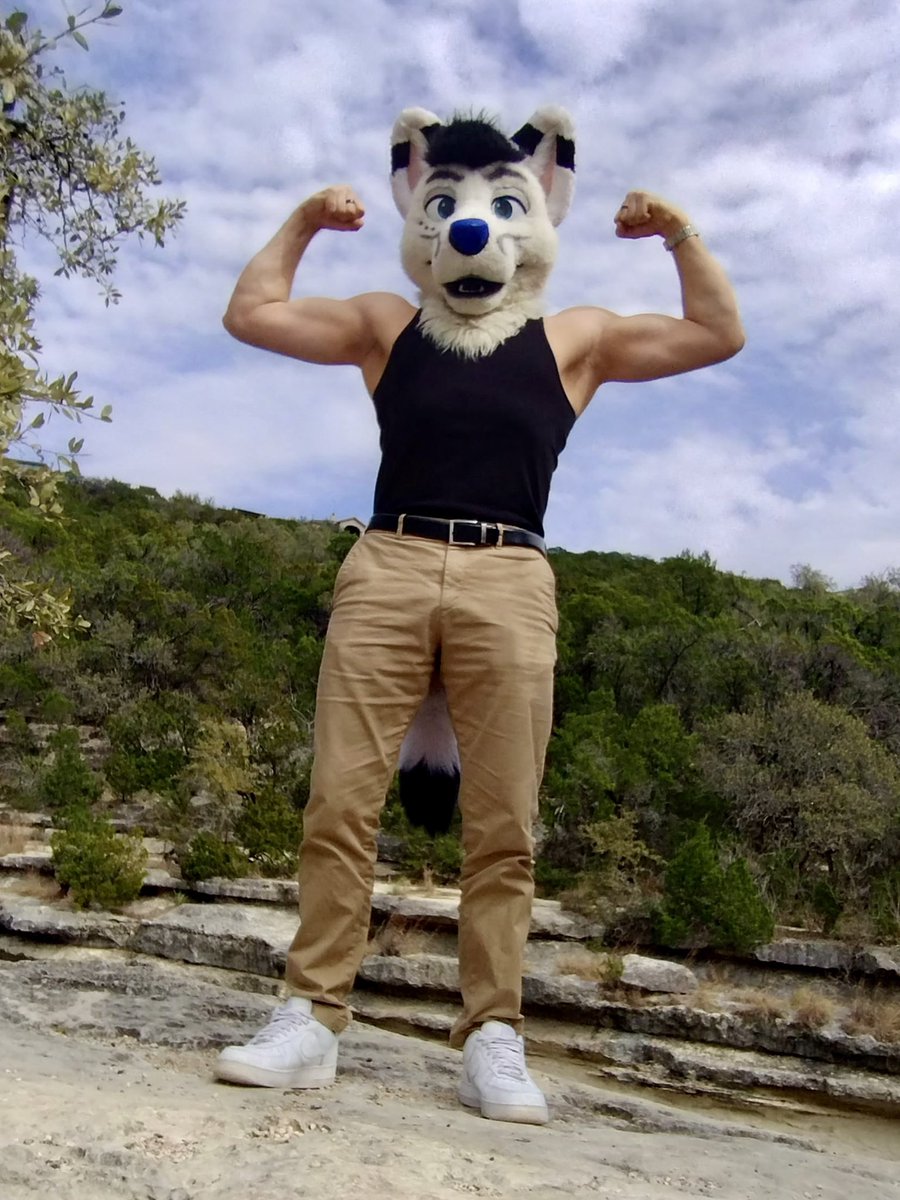 Forte 🔜 TFS tweet media