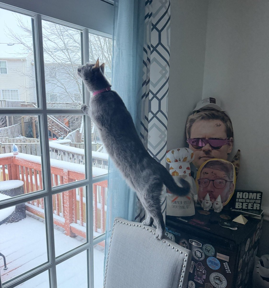 Matt Raines tweet media