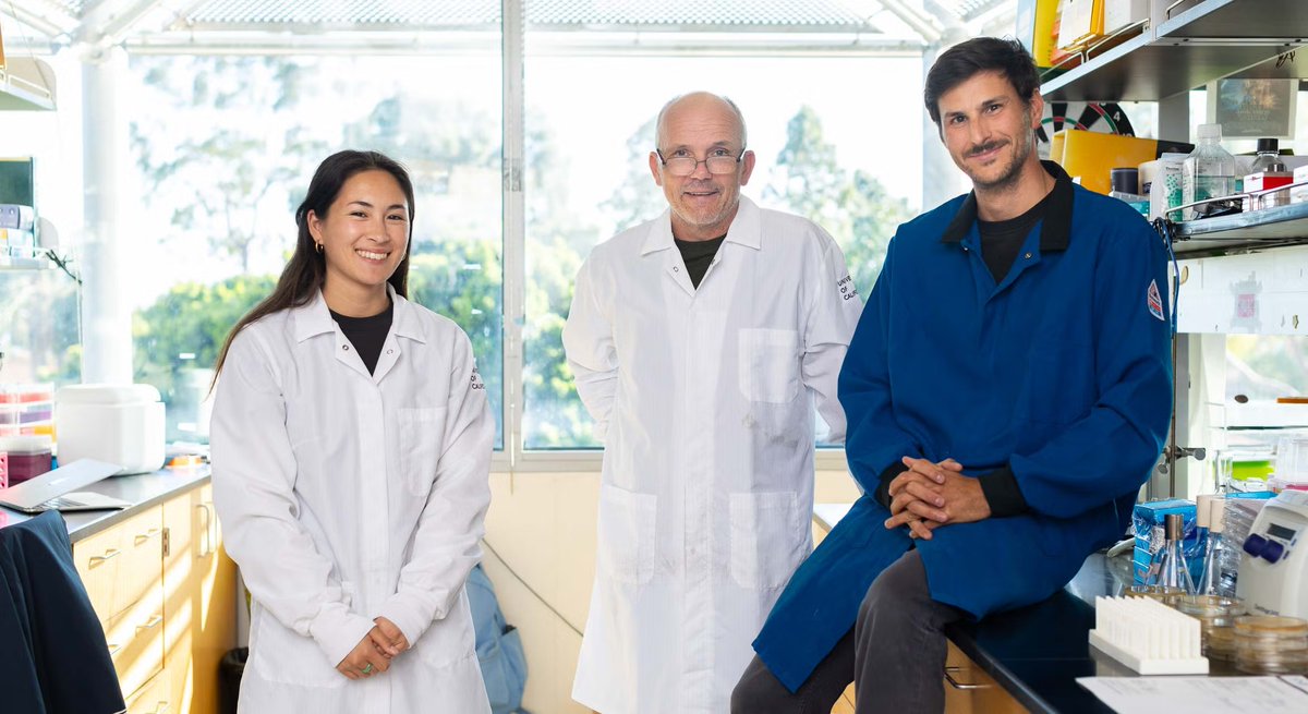 UC Santa Barbara tweet media