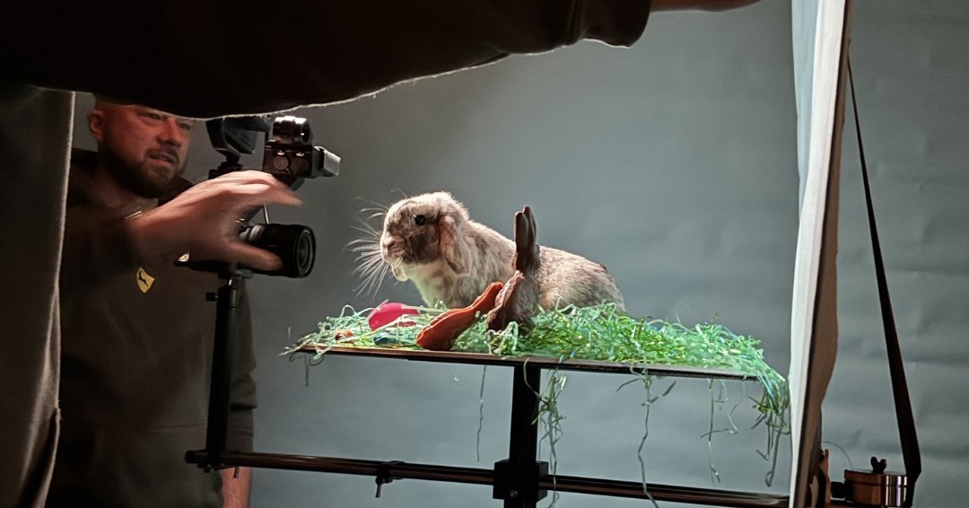Z3Concepts's tweet photo. Z3 Companion: Behind every great business are even better employees - behind every great employee are loyal companions! Meet Tator Tot - a big ole' bunny and a special member of Russ' family (even though ... he's quite allergic).  A fluffy friend indeed! https://t.co/yJcYyeqV8t