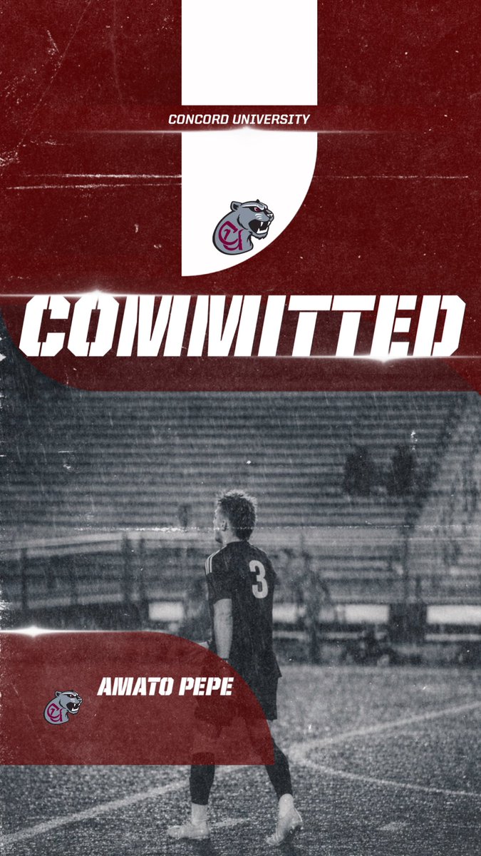 Amato “mato” Pepe tweet media