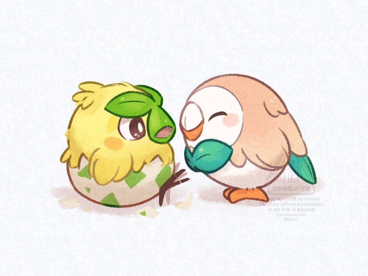 New Friend🐣🍃🦉