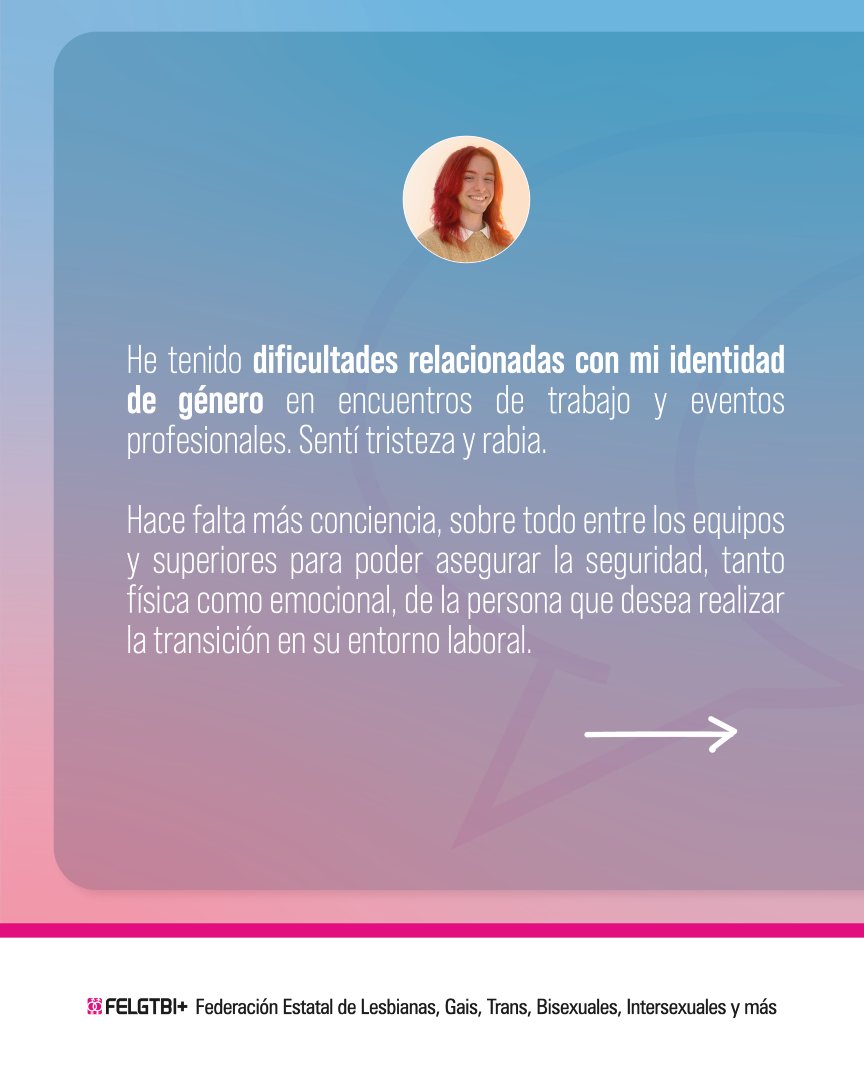 Federación Estatal LGTBI+ tweet media