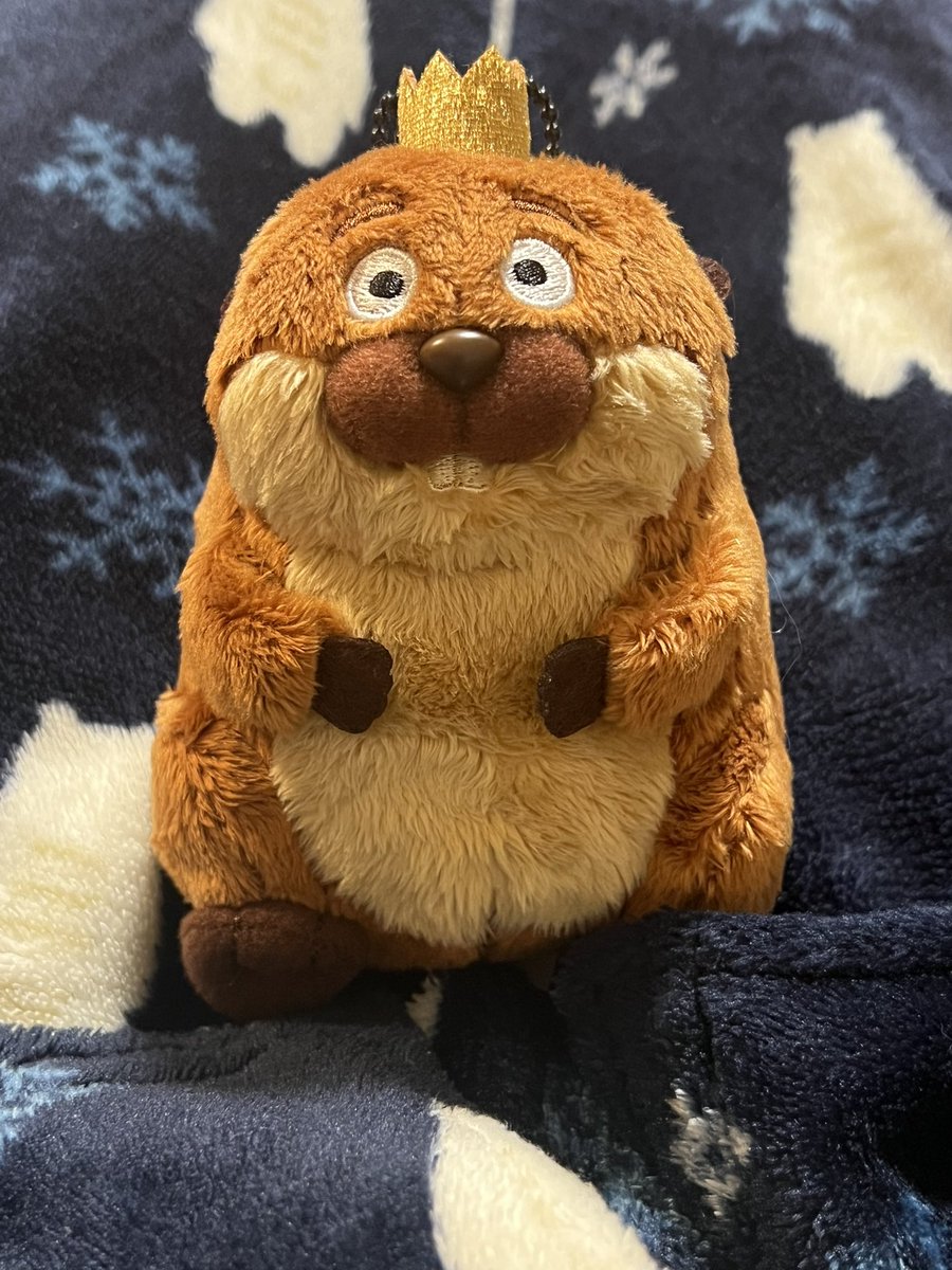 T.T/トシロー♦️ (@takealien) / Posts / X