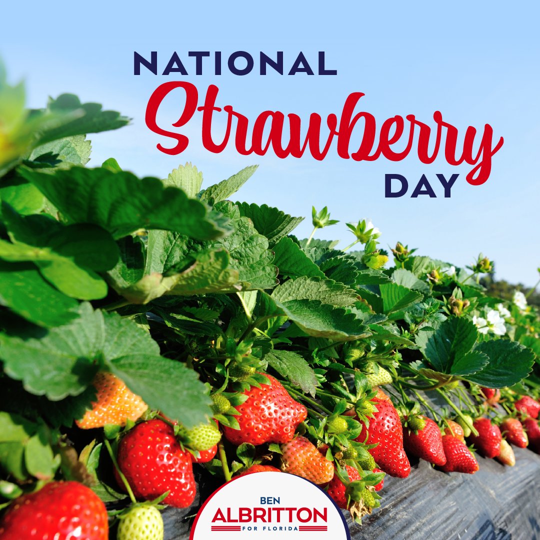 Ben Albritton tweet media