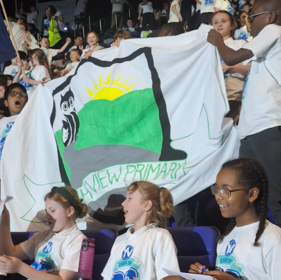 High View Primary School tweet media