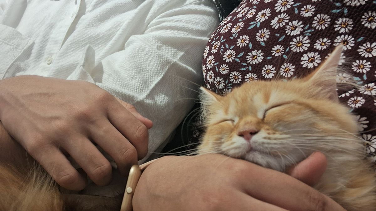 burhan (@mandalinavesiir) on Twitter photo 