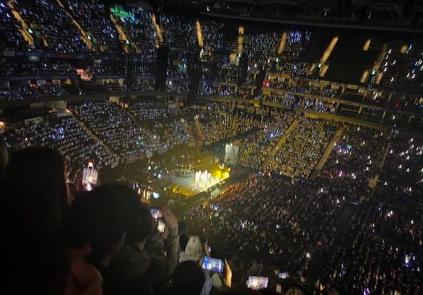 High View Primary School tweet media