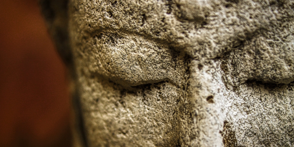 Lisa M Christie, PhD tweet media