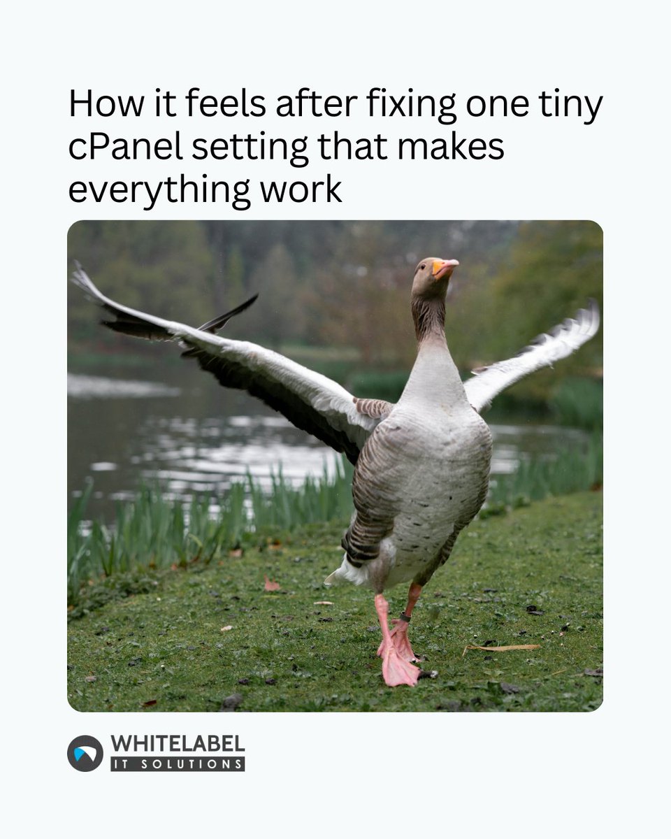 That moment when one tiny tweak fixes everything. 

#webhosting #TechHumor #serverlife #IT #meme  #Tech