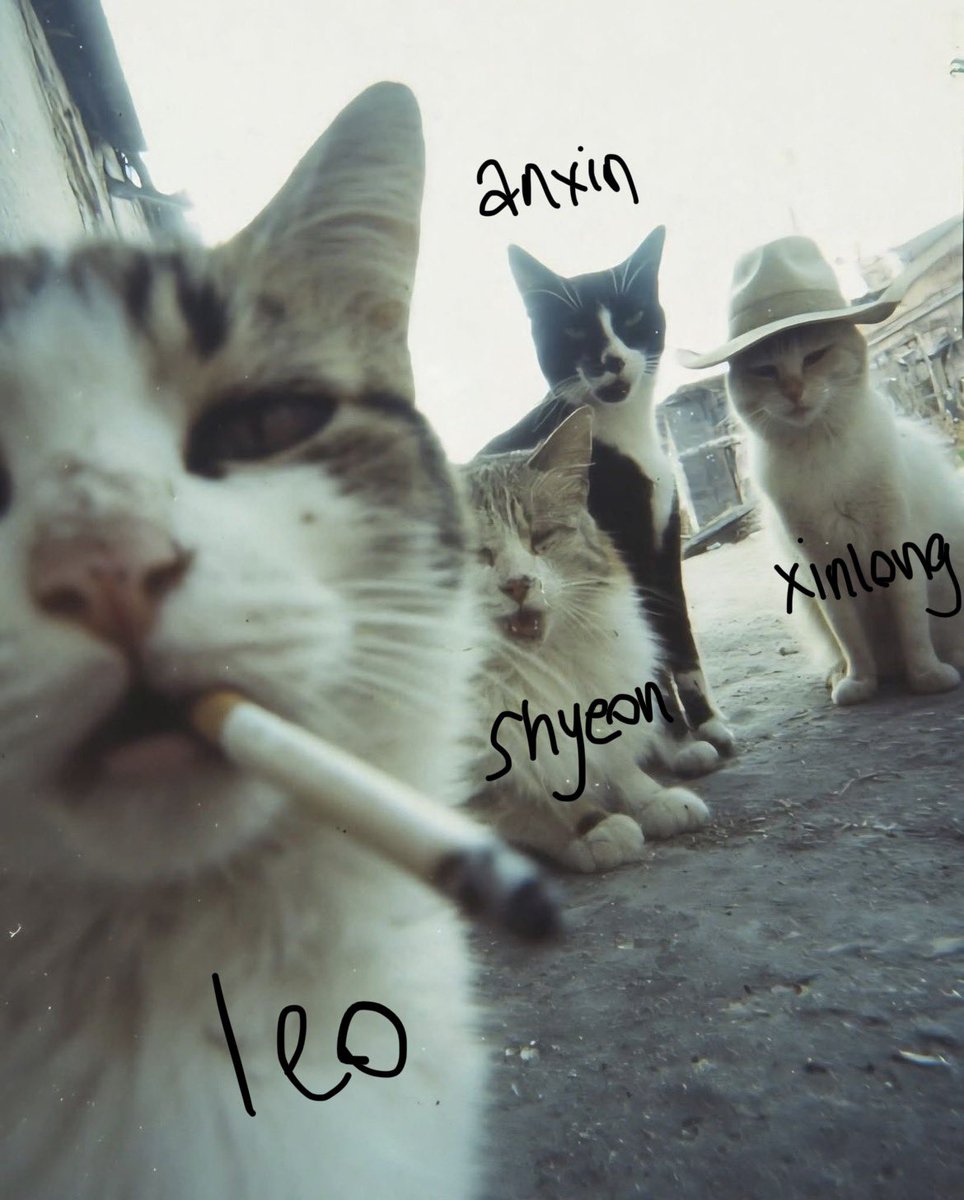 leosecondwify's tweet image. #thegang 🐈‍⬛