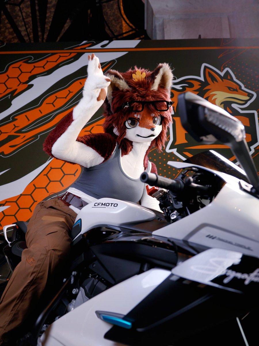 祈橘 ききつ🍁🦊➡️JMOF2026 tweet media