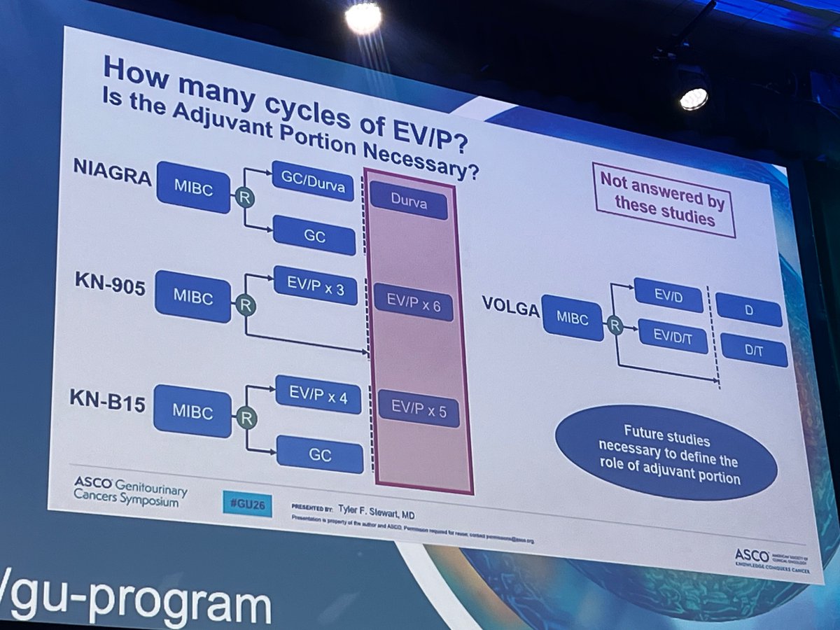 Shilpa Gupta tweet media