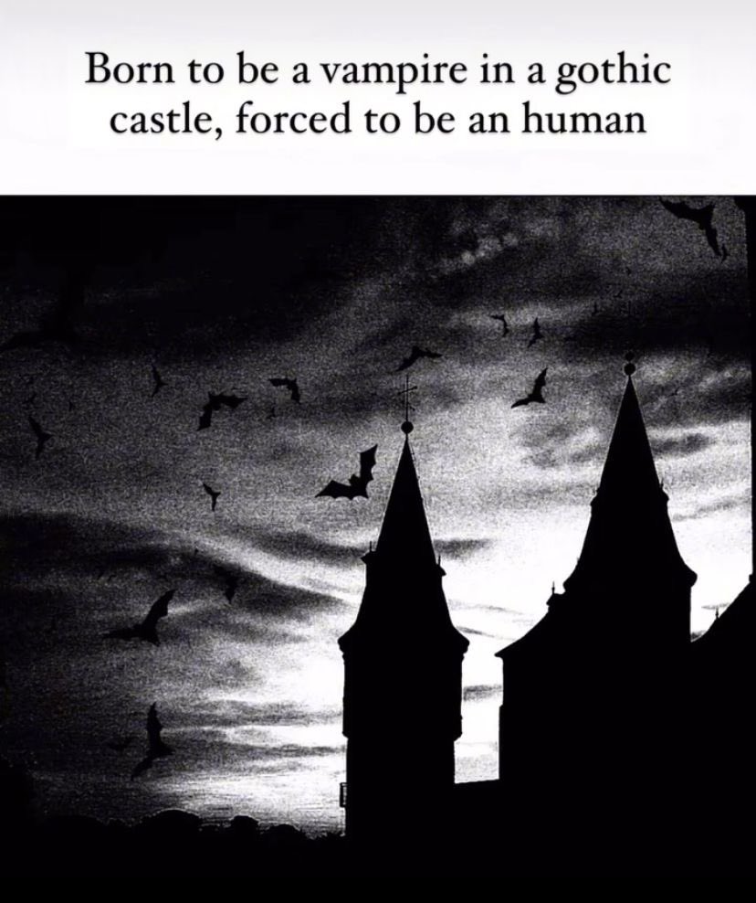 spookyxxboobs's tweet photo. good morning heathens.. have a ferociously fantastic friday https://t.co/a45vbgSVCt