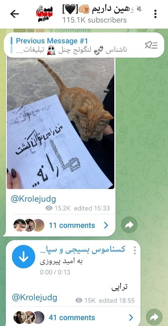 ☫ ¦ 𝐒𝐄𝐘𝐄𝐃 𝐇𝐍 ¦ ☫ tweet media