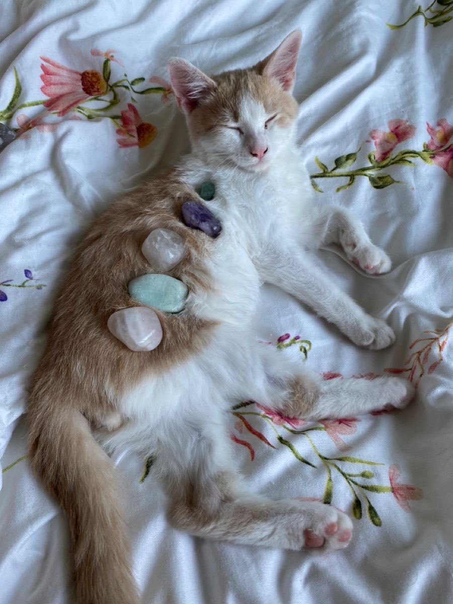 Sunbathing with my current favorite shiny stones 💜✨
.
.
.
#ENVtubers #Vtuber #crystal #magic