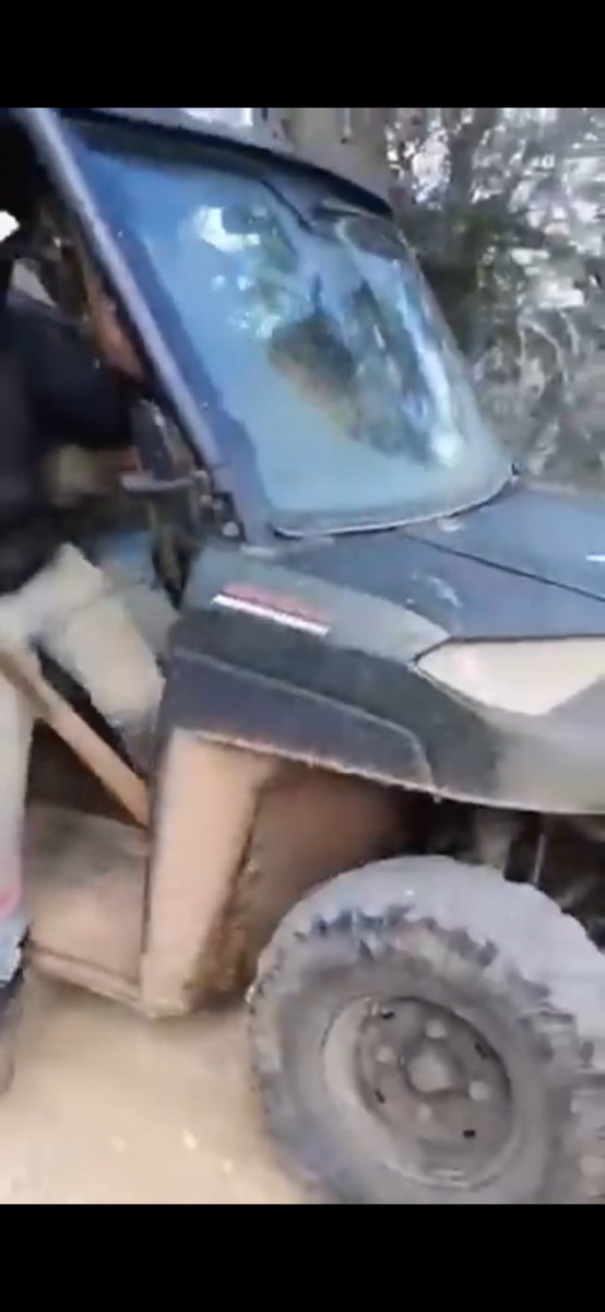 Etan Nechin tweet media