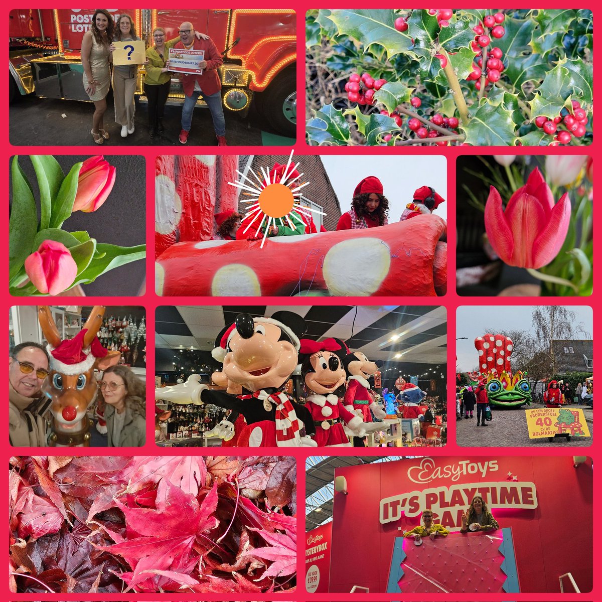 AnitaPeeters's tweet photo. @ChrRoland 🎨🌿 #KleurInDeNatuur 🌈📸 #dag26 #Aardbeirood rgb 255,045,045 #ColorInNature #day26 #StrawberryRed Vandaag ben ik de hort op, maar gelukkig kun je ook meerdere tweets klaarzetten. Rood met witte stippen gaat bij deze wel echt op. Vliegenzwam in de berm in onze wijk ❤️ https://t.co/NmIxILb2lm