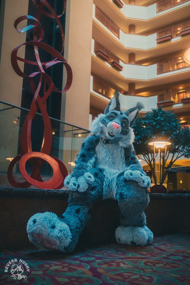 Tundra @ FE tweet media