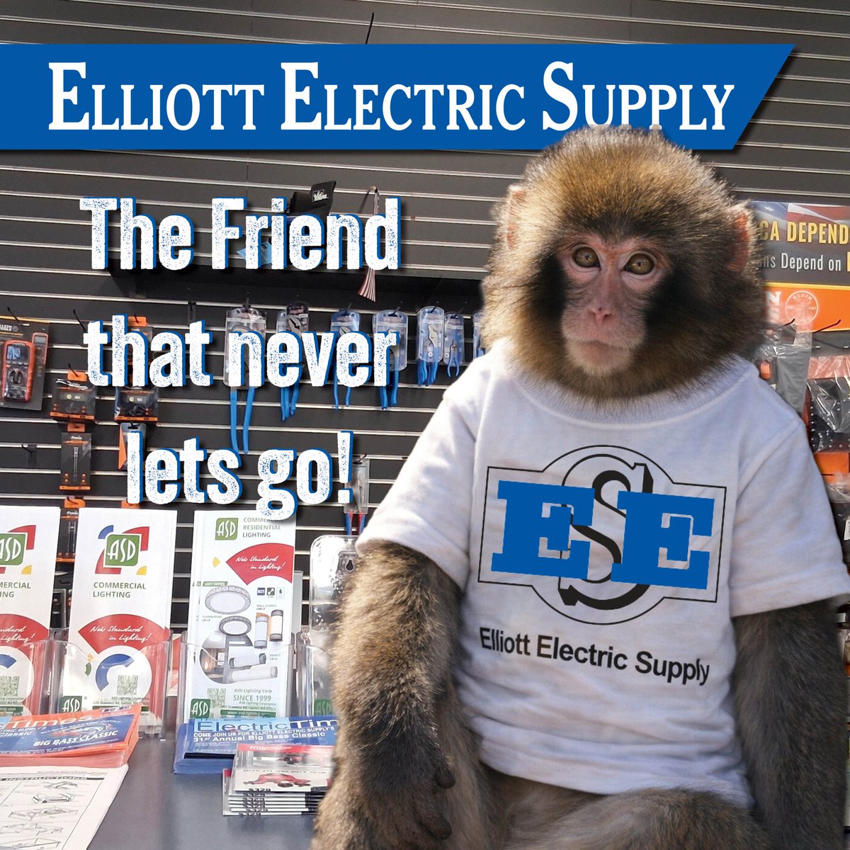 From the biggest job, to the smallest monkey, you've got a friend in Elliott Electric Supply. ✨

Stop by your local store to become part of the Elliott Electric Supply family! 💙

elliottelectric.com/Locations/Main…

#EES #ElliottElectricSupply #Punch #WeLovePunch