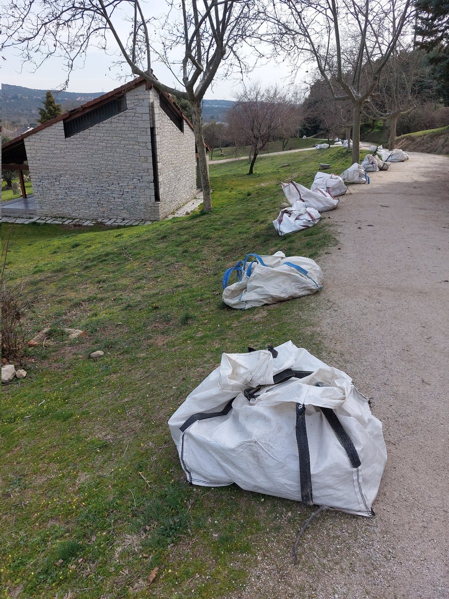 Las hojas en parques y jardines NO ES SUCIEDAD. Llevarse las hojas de aquí es un esfuerzo y un gasto innecesario. Mejor extender y triturar in situ con segadora sin cajón recogedor.
#Economíacircular
#Moralzarzal