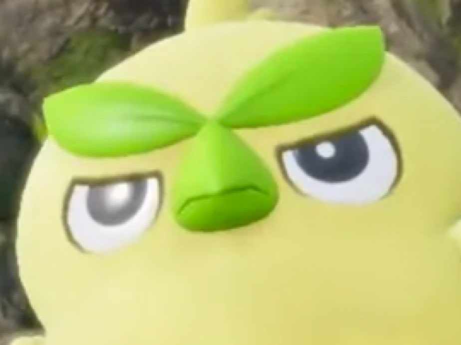 Cindereye⸆⸉ tweet media