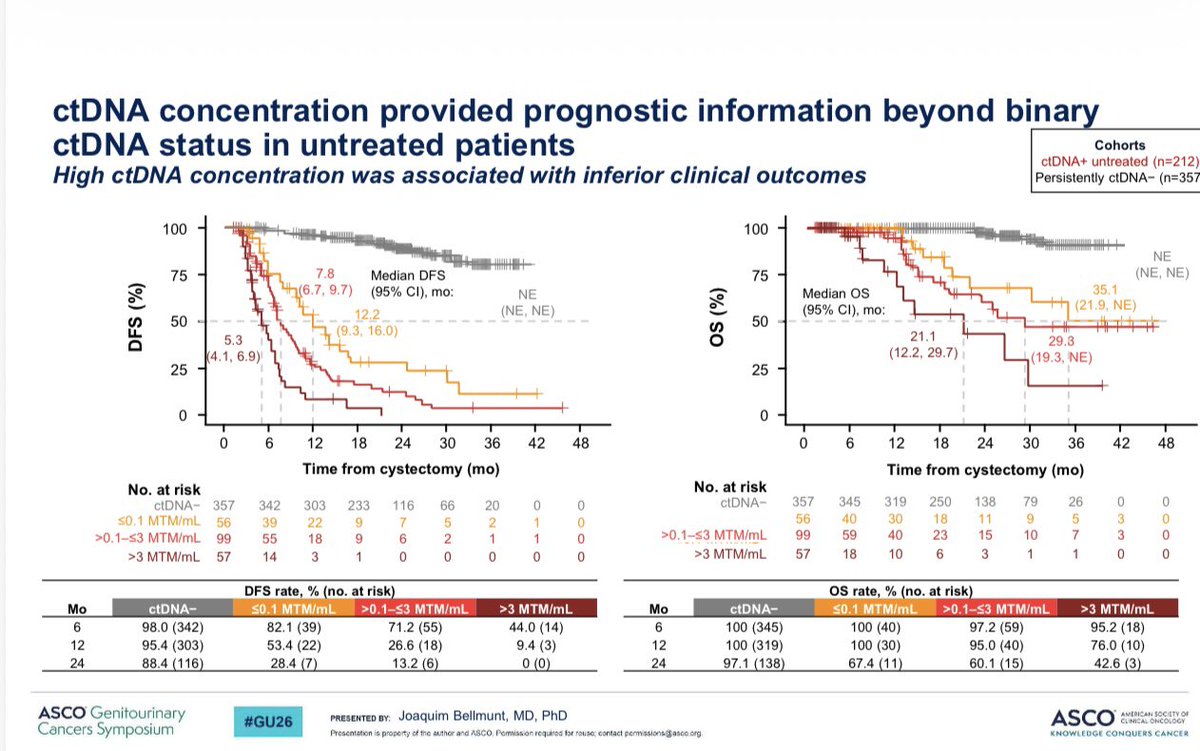 Tom Powles tweet media