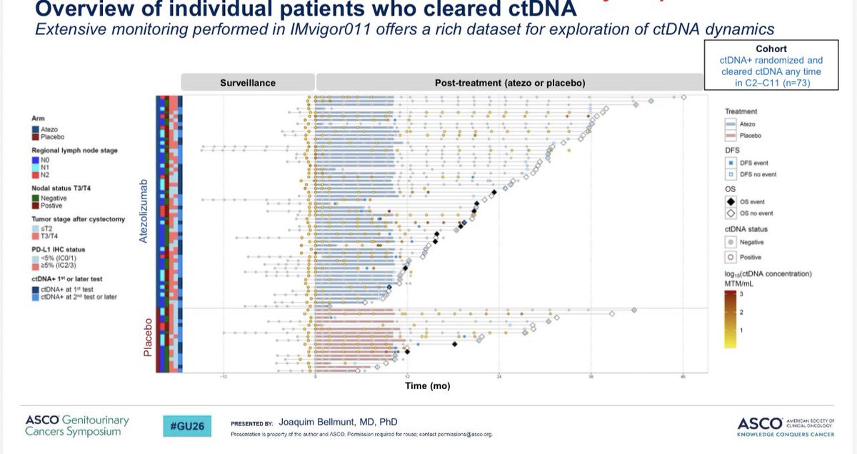 Tom Powles tweet media