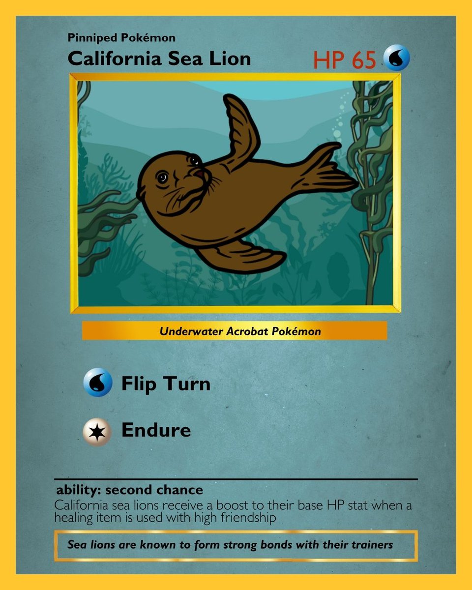 Aquarium of Niagara tweet media