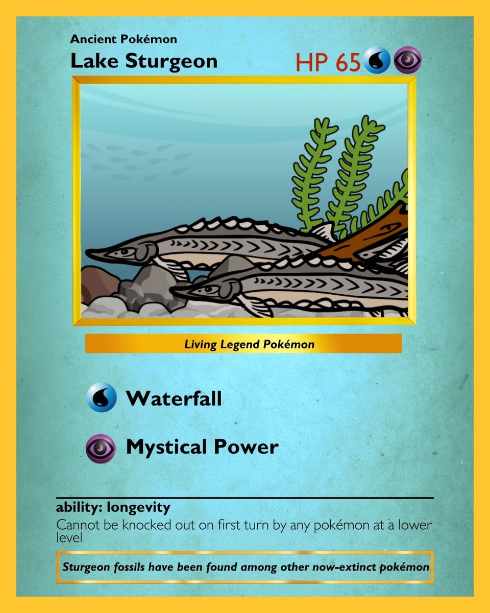 Aquarium of Niagara tweet media