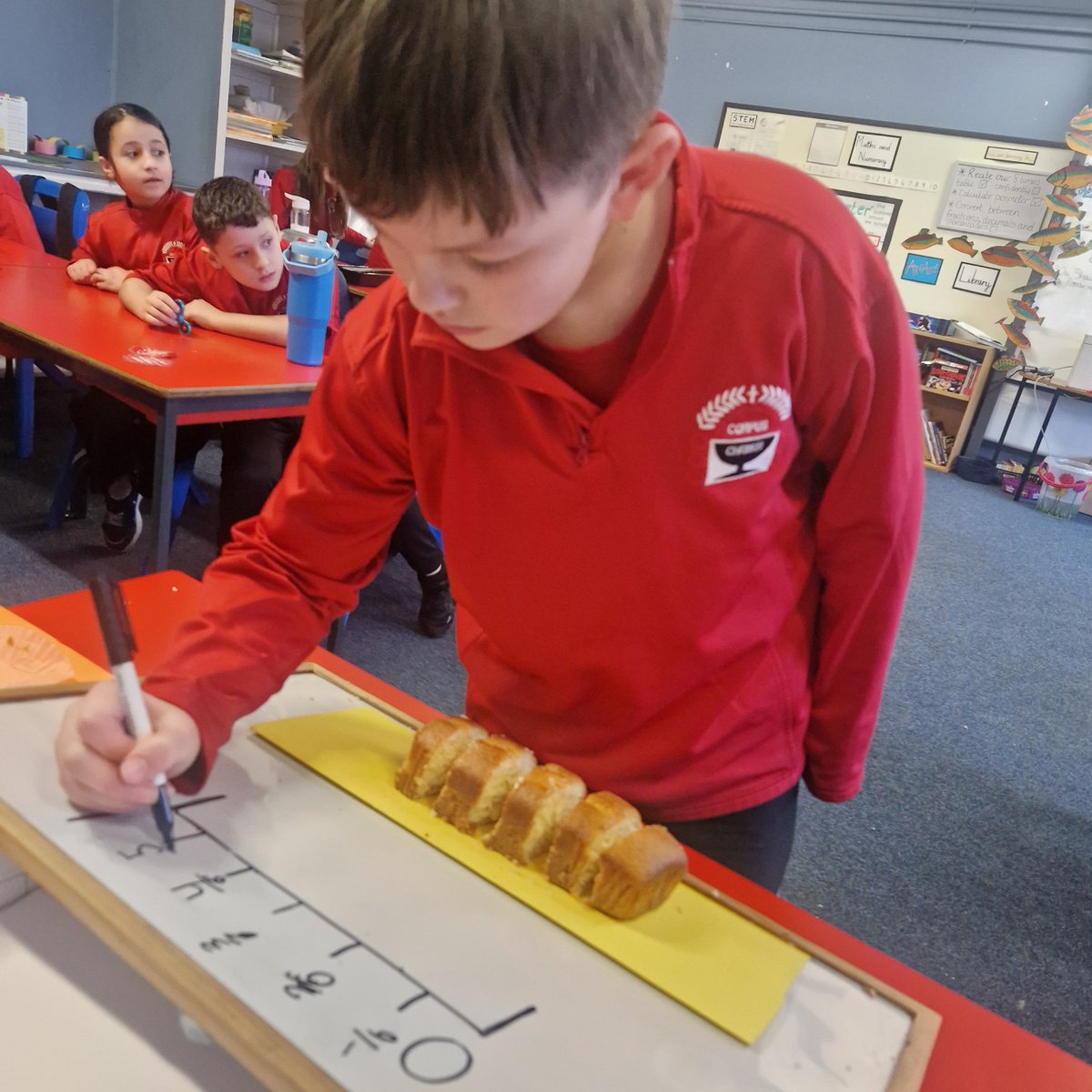 Primary 5a tweet media