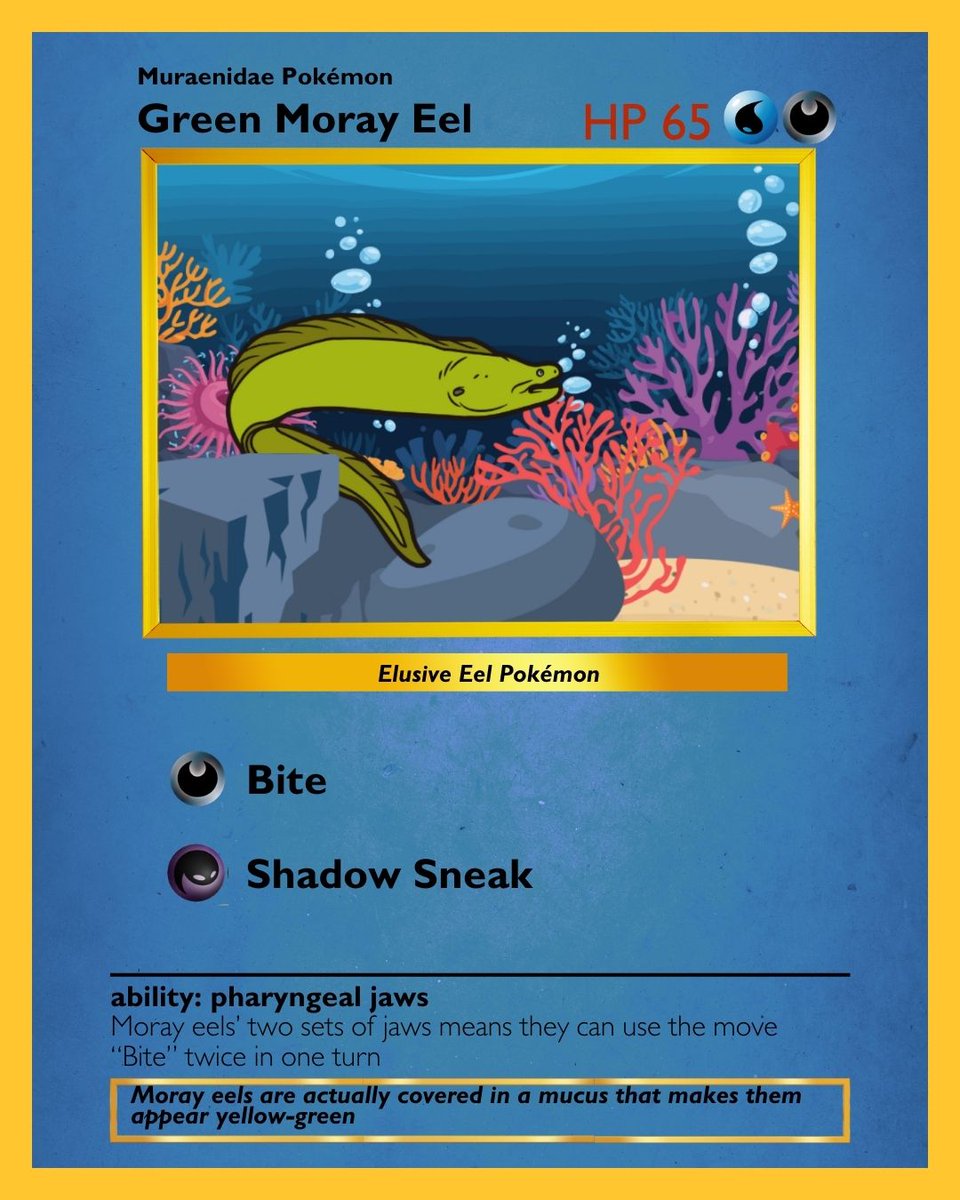 Aquarium of Niagara tweet media